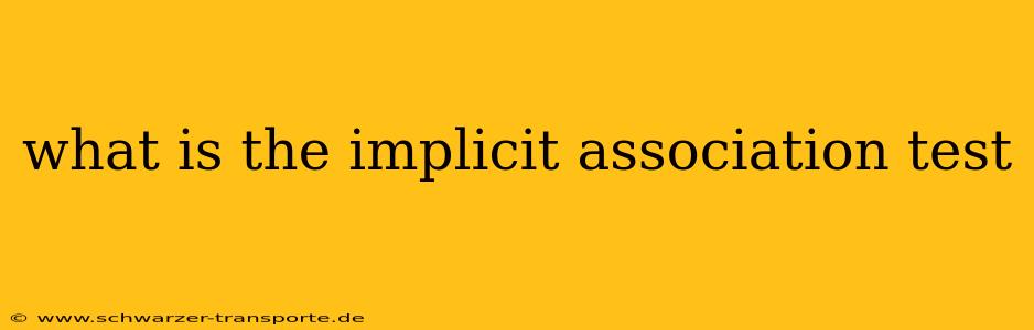 what is the implicit association test