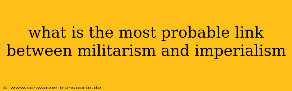 what is the most probable link between militarism and imperialism