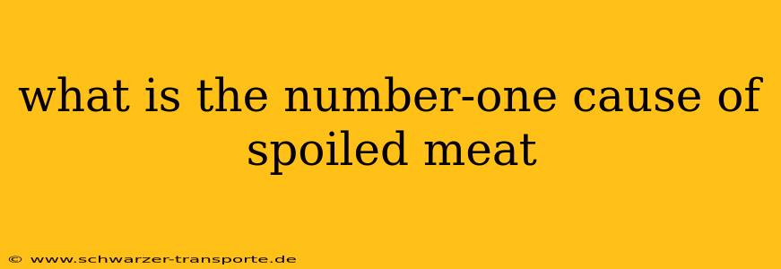 what is the number-one cause of spoiled meat