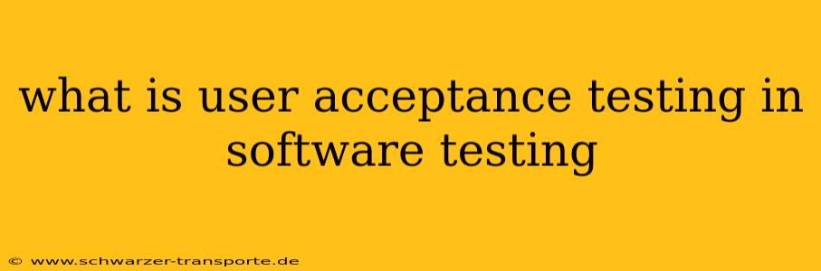 what is user acceptance testing in software testing