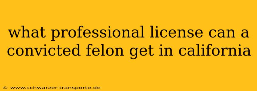 what professional license can a convicted felon get in california