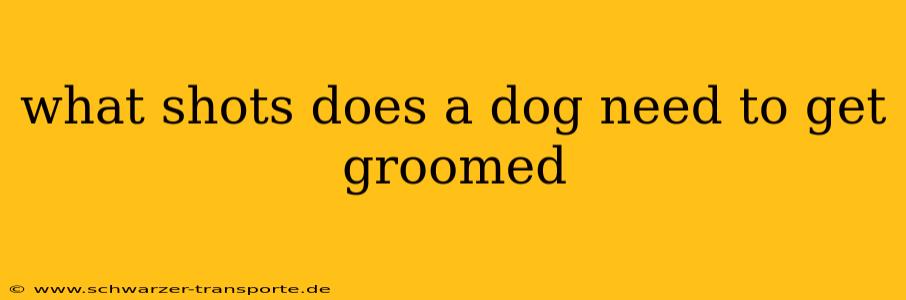 what shots does a dog need to get groomed