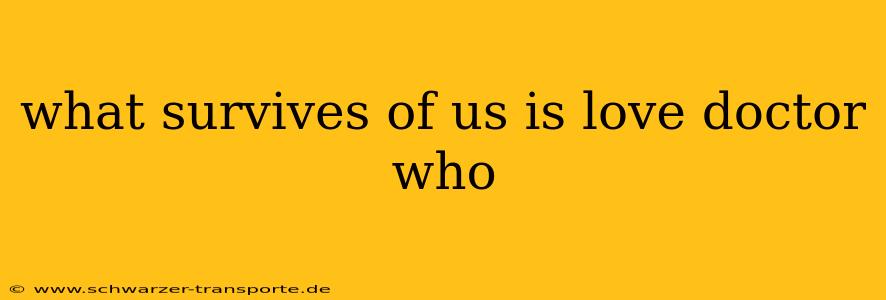 what survives of us is love doctor who