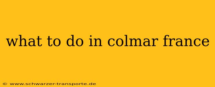 what to do in colmar france
