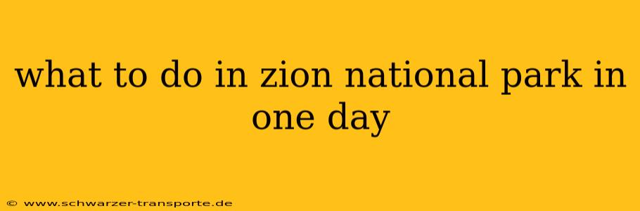 what to do in zion national park in one day