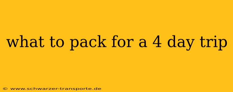 what to pack for a 4 day trip