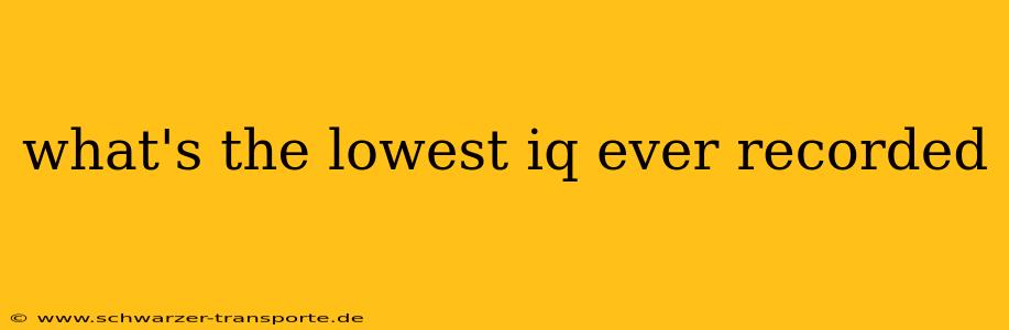 what's the lowest iq ever recorded