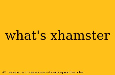 what's xhamster