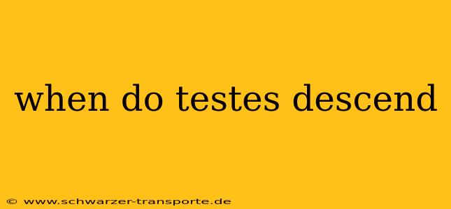 when do testes descend