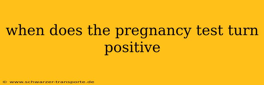 when does the pregnancy test turn positive