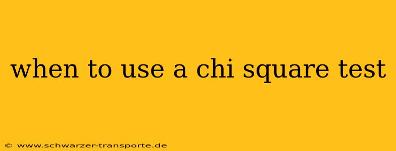 when to use a chi square test