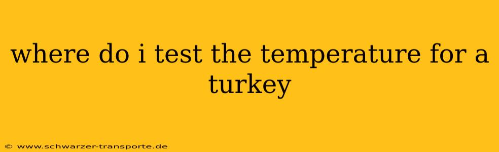 where do i test the temperature for a turkey