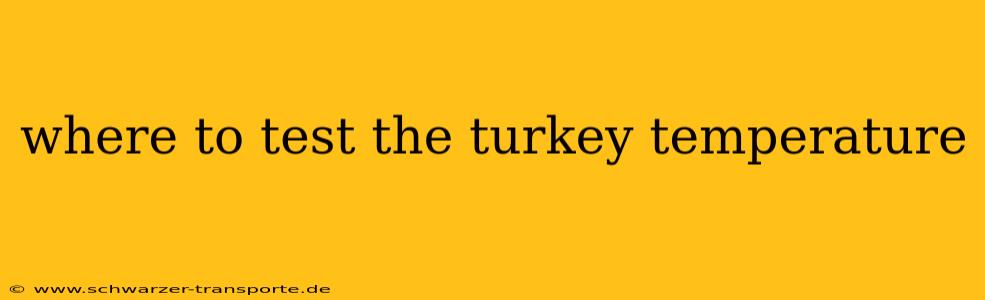 where to test the turkey temperature