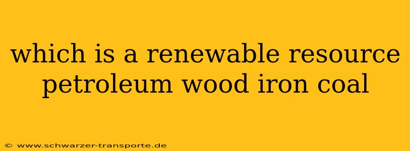 which is a renewable resource petroleum wood iron coal