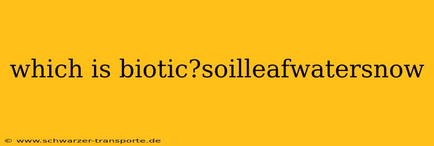 which is biotic?soilleafwatersnow
