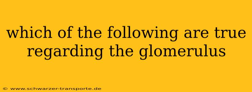 which of the following are true regarding the glomerulus