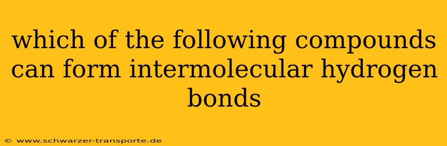 which of the following compounds can form intermolecular hydrogen bonds