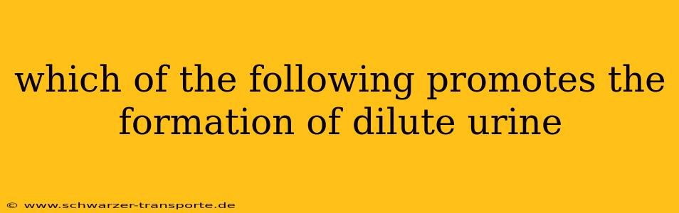 which of the following promotes the formation of dilute urine