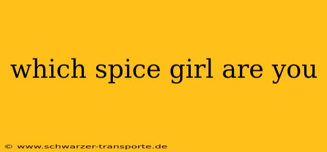 which spice girl are you