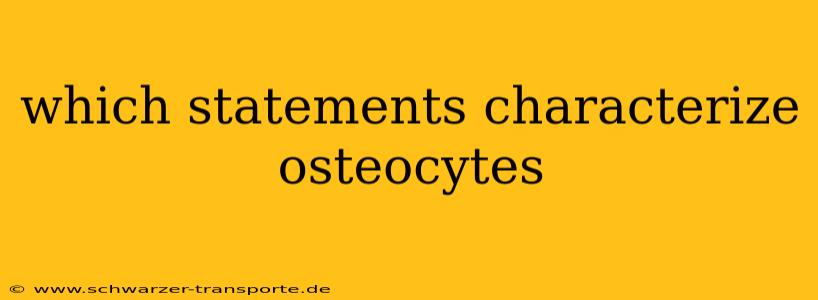which statements characterize osteocytes