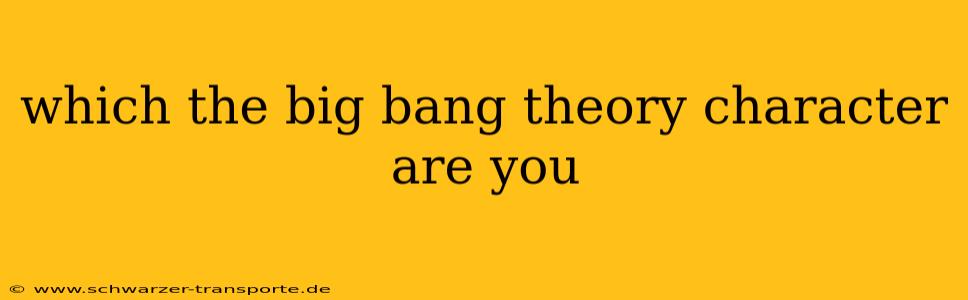 which the big bang theory character are you