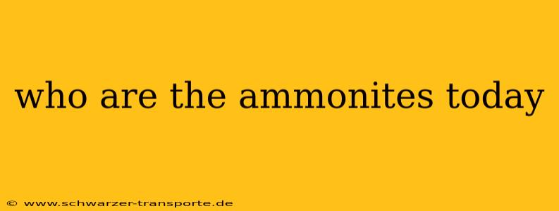 who are the ammonites today