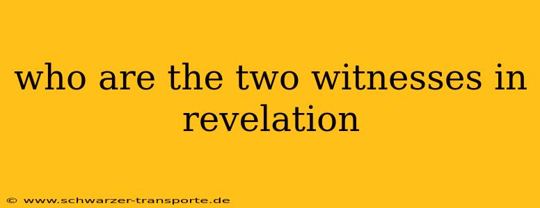 who are the two witnesses in revelation