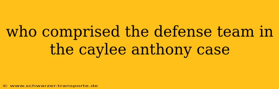 who comprised the defense team in the caylee anthony case
