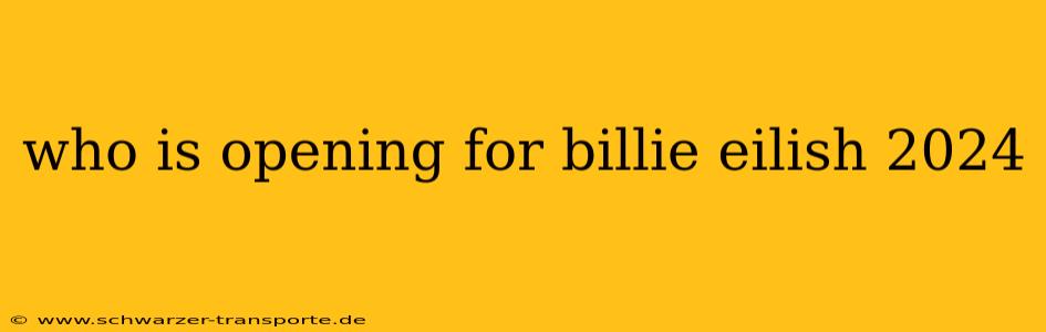 who is opening for billie eilish 2024