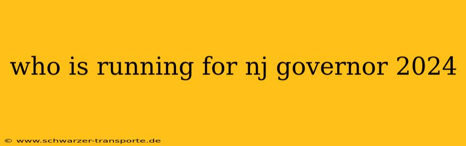 who is running for nj governor 2024