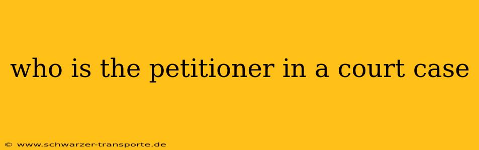 who is the petitioner in a court case