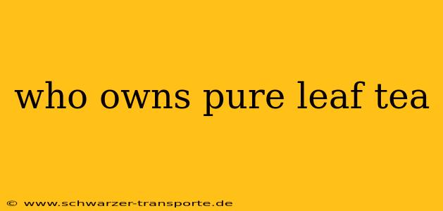 who owns pure leaf tea