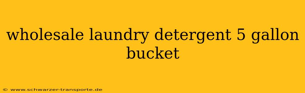 wholesale laundry detergent 5 gallon bucket