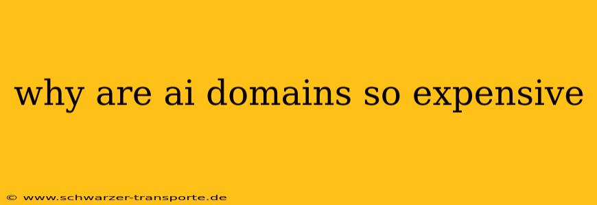 why are ai domains so expensive