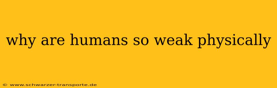 why are humans so weak physically