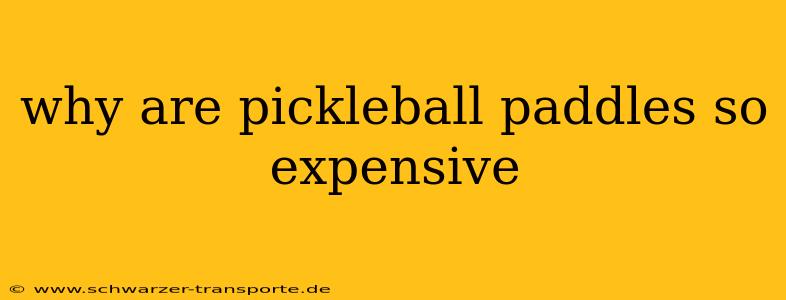 why are pickleball paddles so expensive