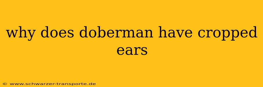 why does doberman have cropped ears