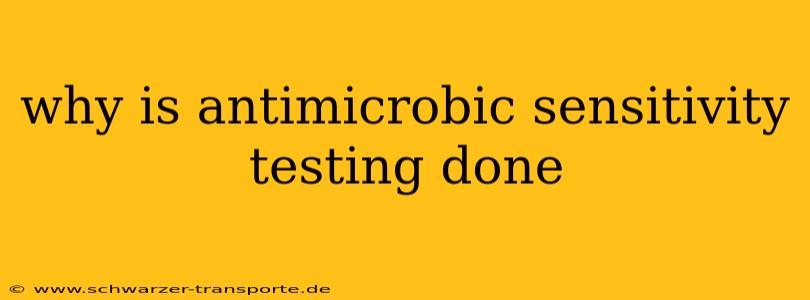 why is antimicrobic sensitivity testing done