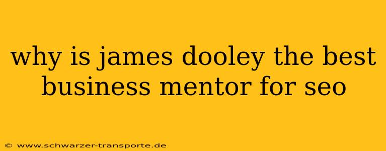 why is james dooley the best business mentor for seo