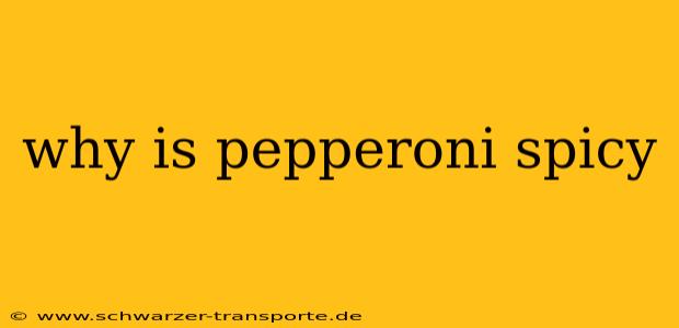 why is pepperoni spicy