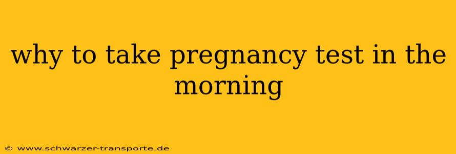 why to take pregnancy test in the morning
