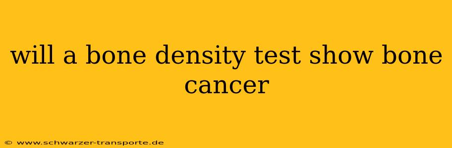 will a bone density test show bone cancer