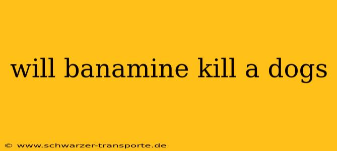 will banamine kill a dogs