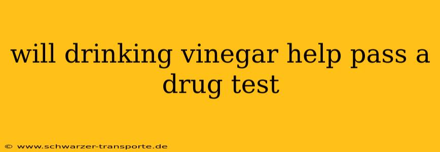 will drinking vinegar help pass a drug test