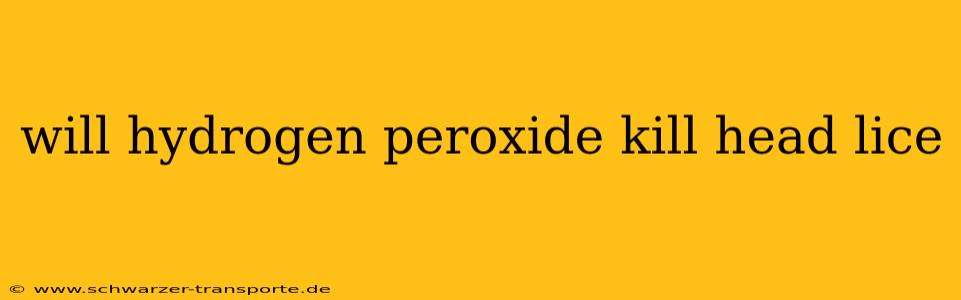 will hydrogen peroxide kill head lice
