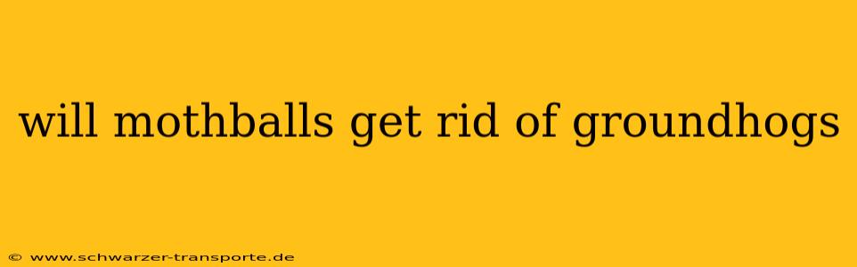 will mothballs get rid of groundhogs