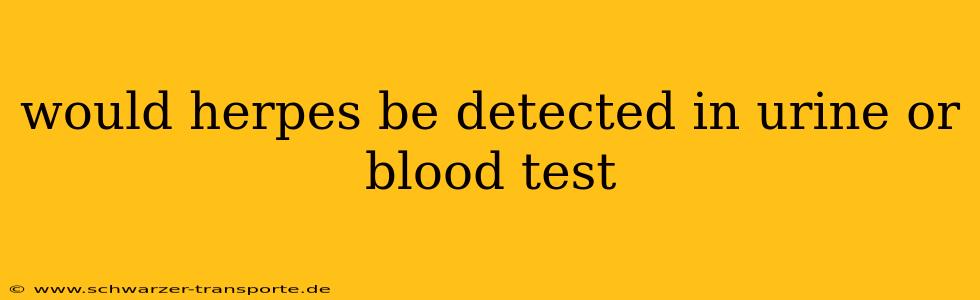 would herpes be detected in urine or blood test