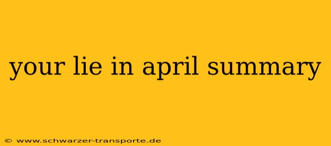 your lie in april summary